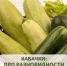 lfDsY1lcjTkq5AmebO0A6UvX4-vFKeyJZLYGVdwLQ_3ZlDusQ_iShwynE7vQnbZA8BzsaYs2GGrG-GNCtw_Bjoag.jpg - Газета Новости недели