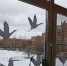 photo_2024-03-30_13-43-52__2_.jpg - Управление образования