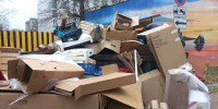 В пригородных лесах Электростали ликвидировали почти 150 кубометров свалок - Regions.Ru