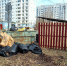 В Электростали резко снизилось количество несанкционированных свалок мусора - Regions.Ru