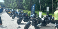 В День молодежи электростальцы чествовали медалистов и сажали микрозелень - Regions.Ru