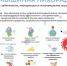 Prilozhenie.jpg - Управление образования